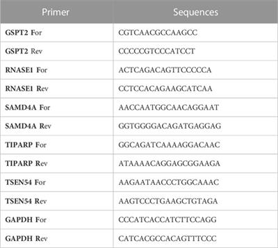 Exploration of prognostic genes and risk signature in breast cancer patients based on RNA binding proteins associated with ferroptosis